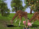 Wildlife Park 2