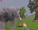 Wildlife Park 2