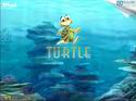 Turtle Odyssey
