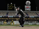 Cricket 2005