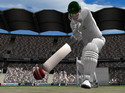 Cricket 2005