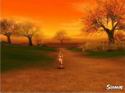 Silkroad Online