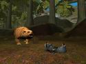 EverQuest: Prophecy of Ro