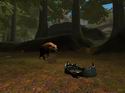 EverQuest: Prophecy of Ro