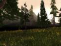 Darkfall Online