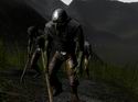 Warhammer Online: Age of Reckoning