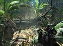 Crysis