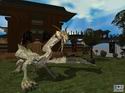 EverQuest: Dragons of Norrath