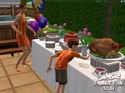 The Sims 2: Family Fun Stuff