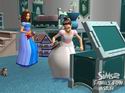 The Sims 2: Family Fun Stuff