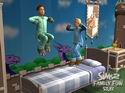 The Sims 2: Family Fun Stuff