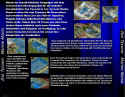 Zoo Tycoon 2: Marine Mania