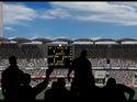 Cricket 07