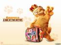 Garfield 2: A Tale of Two Kitties
