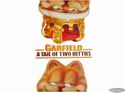 Garfield 2: A Tale of Two Kitties
