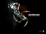 Dark Sector