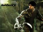 Dark Sector