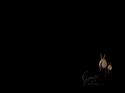Samorost 2