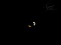 Samorost 2