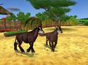 Zoo Tycoon 2: Zookeeper Collection