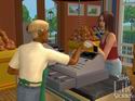 The Sims Life Stories