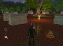 Robin Hood's Quest