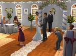 The Sims 2: Celebration Stuff