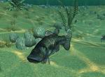 Bass Tournament Tycoon