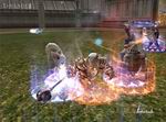 Lineage 2: The Chaotic Throne - Interlude
