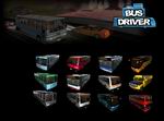 Bus Driver