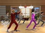 The Sims 2: Bon Voyage