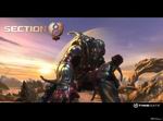 Section 8