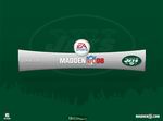 Madden NFL 08