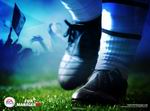FIFA Manager 08