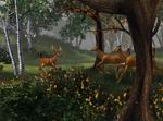 Big Buck Hunter Pro
