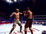 Boxsport Manager