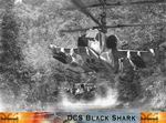 DCS: Black Shark