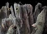 Samorost