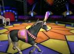 Circus Grande