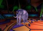 Circus Grande
