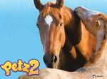 Petz: Horsez 2