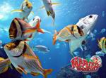 Wildlife Park 2: Marine World