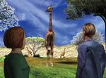 Zoo Vet