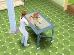 Pet Vet 3D: Animal Hospital Down Under