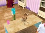 Pet Vet 3D: Animal Hospital Down Under