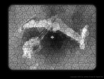 Strange Adventures in Infinite Space