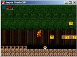 Super Mario XP