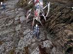 Requiem: Bloodymare
