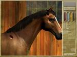 Alexandra Ledermann 1: Equitation Passion