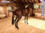 Alexandra Ledermann 8: Les Secrets Du Haras